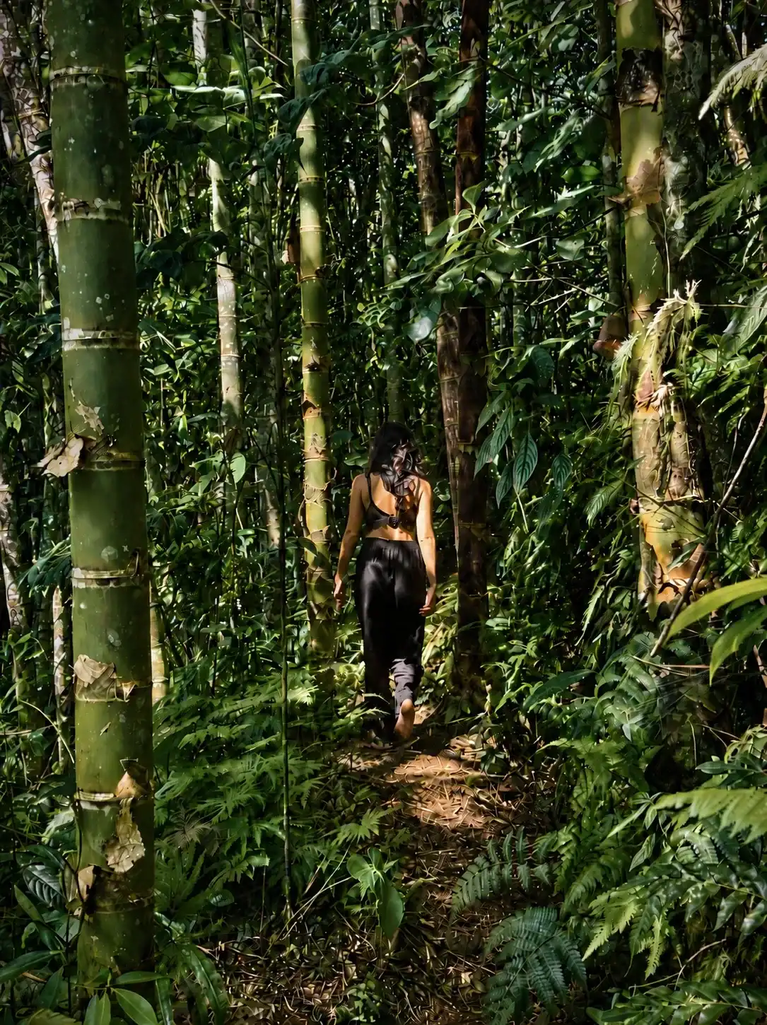 Bosque Secreto